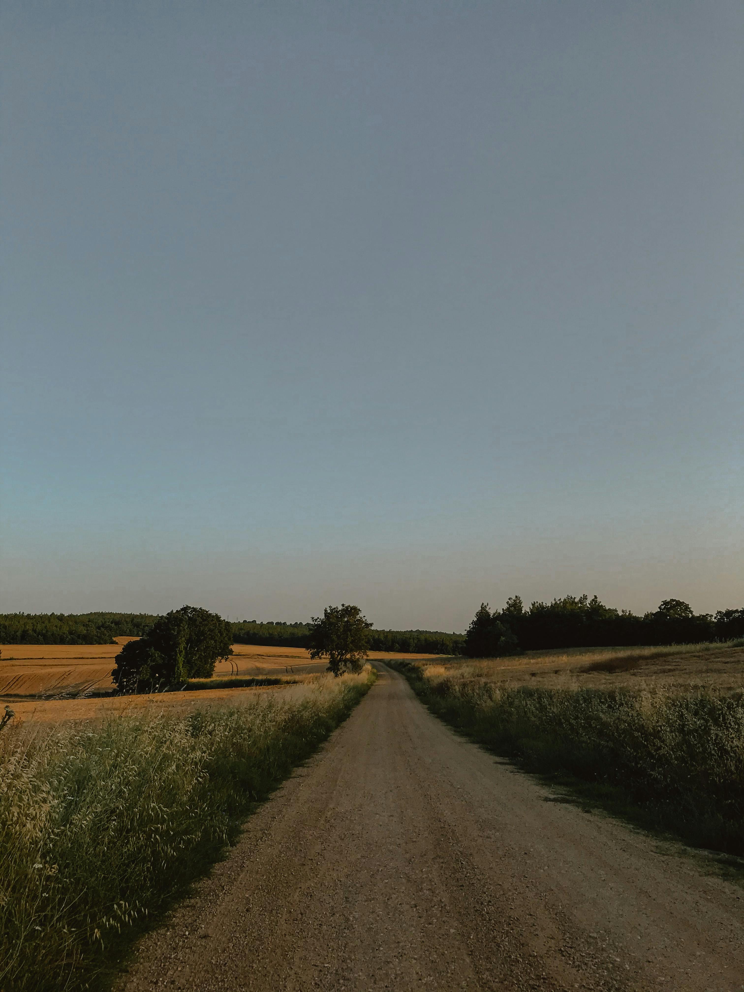 Sprzedam działkę rekreacyjną blisko lasu